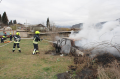 Noyemberan VFRG - training/exercises - Ptghavan - March 2025 