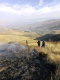 Spitak VFRG - wildfire deployments - Tsaghkaber - November 2025