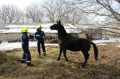 Vayk VFRG – Vayk RS - training/exercices - Martiros - December 2024
