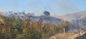 Noyemberan VFRG - wildfire deployment - Ptghavan - August 2025