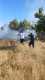 Talin VFRG - wildfire deployment - Aragatsavan - August 2025 
