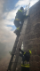 Noyemberan VFRG - training/exercise - Ptghavan - April 2025 