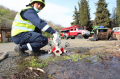 Noyemberan VFRG - Training Fire Rescue Instruction Manual (FRIM) - Ptghavan - April 2026