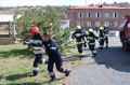 ToT VFRG 1 - week 2 – MIA RS - CMSA training centre - October 2024 