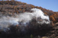 Tsakhkadzor VFRG - MIA Rescue Service regional simulation exercise - Hrazdan forest - October 2025