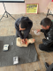 Chambarak VFRG - ARCS FA training - Artanish - March 2026