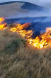 Spitak VFRG - wildfires deployment - Mets Parni - September 2025 