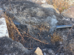 Aparan VFRG - wildfires deployment - Aragats mountains - November 2025