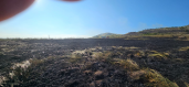 Noyemberan VFRG - wildfire deployment - Deghdzavan - June 2025 