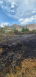 Tsakhkadzor VFRG - wildfires deployment - Meghradzor - September 2025