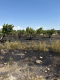 Talin VFRG - wildfire deployment - Aragatsavan - August 2026 