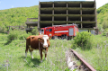 Tsakhkadzor VFRG - training/exercises - Meghradzor - May 2025