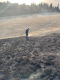 Noyemberan VFRG - wildfires deployment - Haghtanak - September 2025