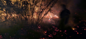 Noyemberan VFRG - wildfire deployment - Haghtanak - August 2025