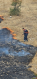 Noyemberan VFRG - wildfire deployment - Ptghavan - August 2025