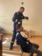  Aparan VFRG - ARCS FA training - February 2026