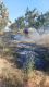 Talin VFRG - wildfire deployment - Aragatsavan - August 2025 
