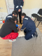 Talin VFRG - ARCS FA training - February 2026 