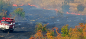 Noyemberan VFRG - wildfire deployment - Ptghavan - August 2025