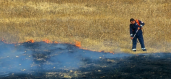 Noyemberan VFRG - wildfire deployment - Ptghavan - August 2025