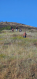 Noyemberan VFRG - wildfire deployment - Deghdzavan - June 2025 
