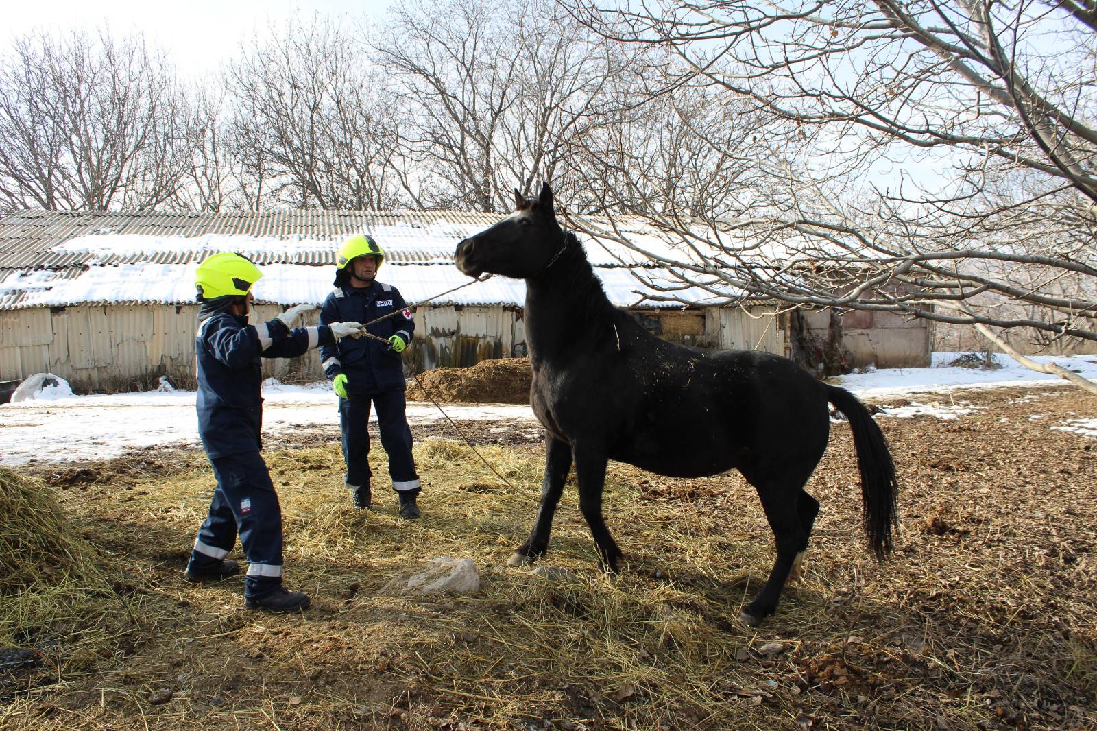 Vayk VFRG – Vayk RS - training/exercices - Martiros - December 2024